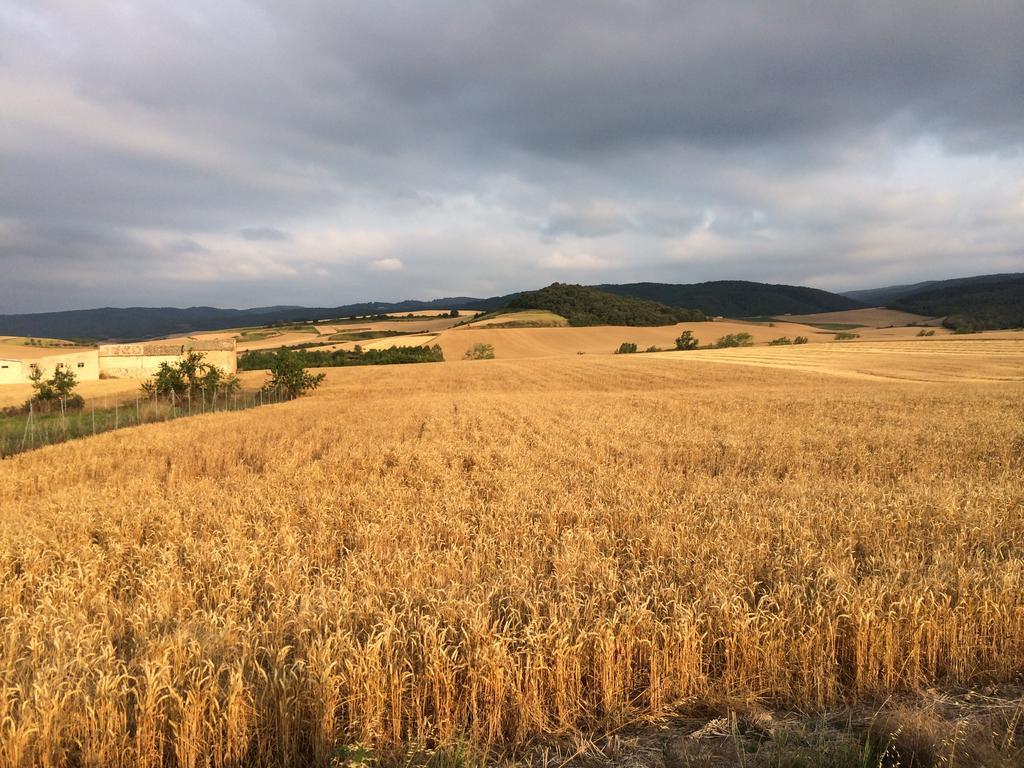 Mihotelito Viloria de Rioja Eksteriør bilde